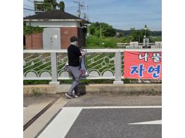 강화군, 설 연휴 대비 불법 광고물 집중 정비 추진 기사 이미지