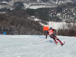평창군, ‘2026 HAPPY700 평창컵 FIS 국제 Alpine 스키대회’ 개최 기사 이미지