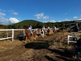 '붉은 말의 해' 제주, 5월부터 11월까지 승마대회 10개 개최 기사 이미지