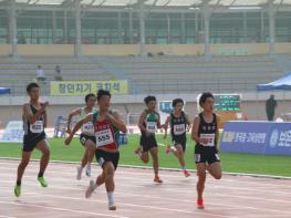 보은군, 제7회 전국 초·중·고등학교 학년별 육상경기대회 개최 기사 이미지