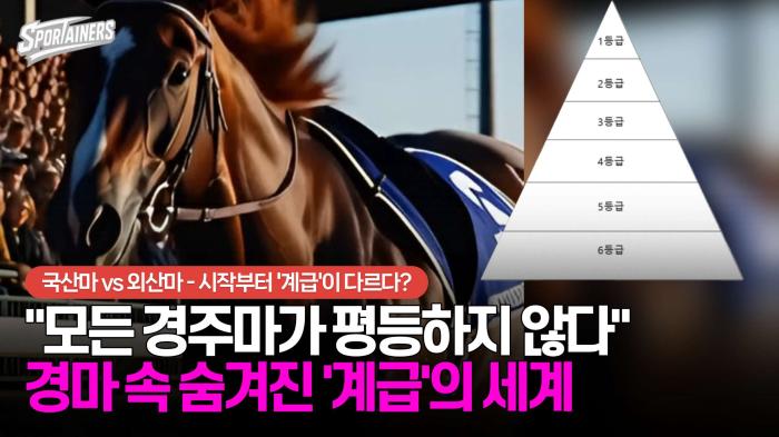 "모든 경주마가 평등하지 않다" 경마 속 숨겨진 '계급'의 세계···국산마 vs 외산마, 시작부터 '계급'이 다르다? 기사 이미지
