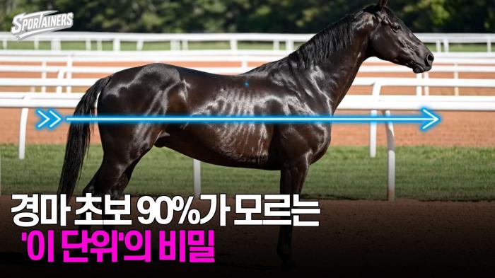 [경마] 초보 90%가 모르는 '이 단위'의 비밀 기사 이미지