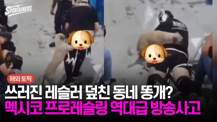 쓰러진 레슬러 덮친 동네 똥개? 멕시코 프로레슬링 역대급 방송사고 기사 이미지